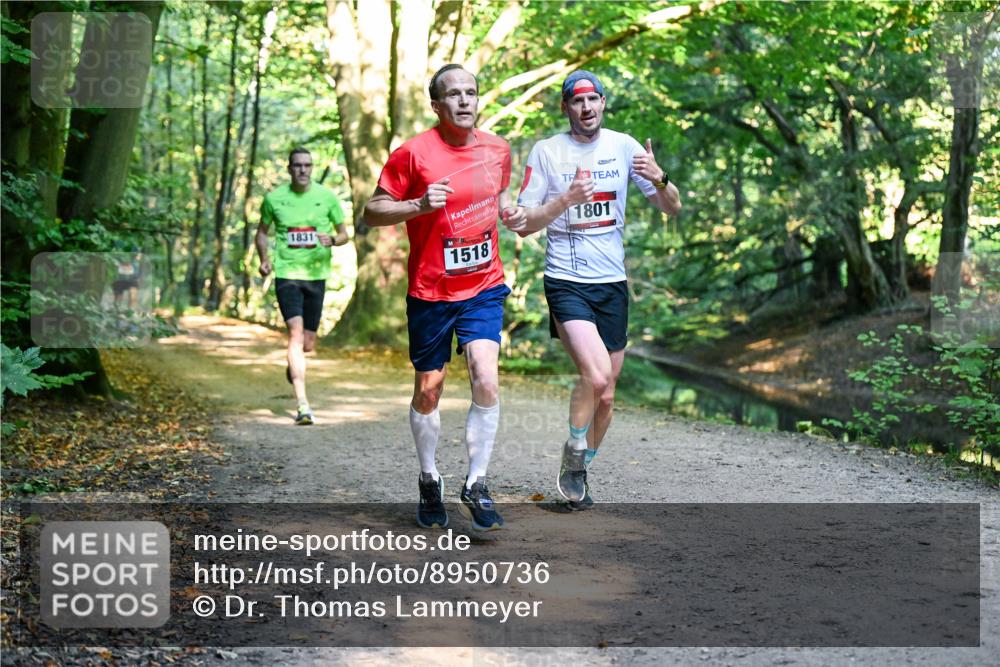 28.09.2025 - 33. Volkslauf durch das schöne Alstertal Dr. Thomas Lammeyer http://msf.ph/oto/8950736 28.09.2025 10:14:35 Laufen 1831, 1518, 1801 meine-sportfotos.de