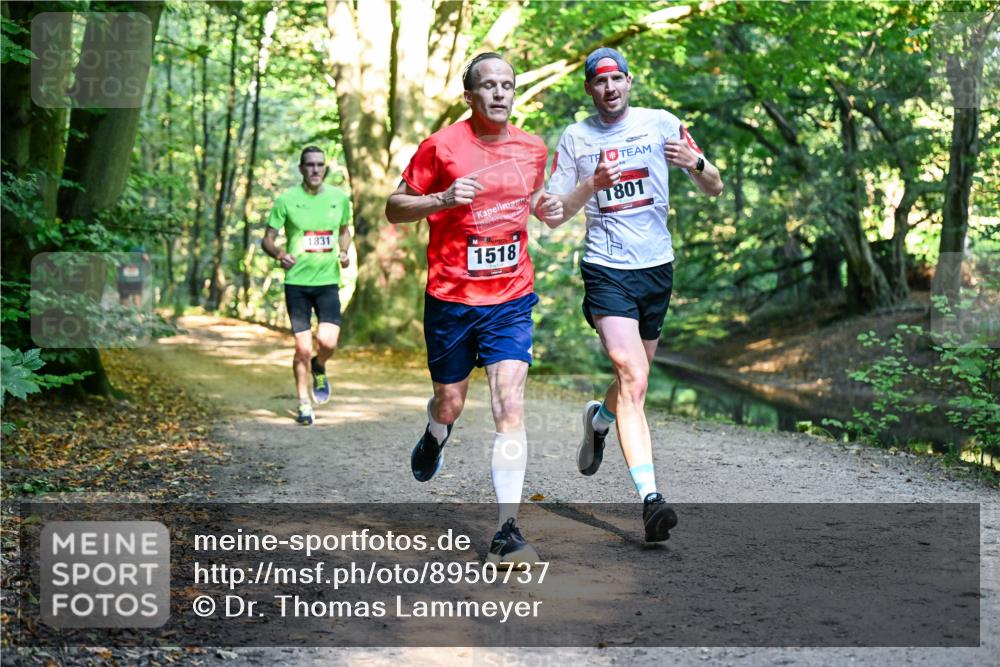28.09.2025 - 33. Volkslauf durch das schöne Alstertal Dr. Thomas Lammeyer http://msf.ph/oto/8950737 28.09.2025 10:14:35 Laufen 1801, 1831, 1518 meine-sportfotos.de