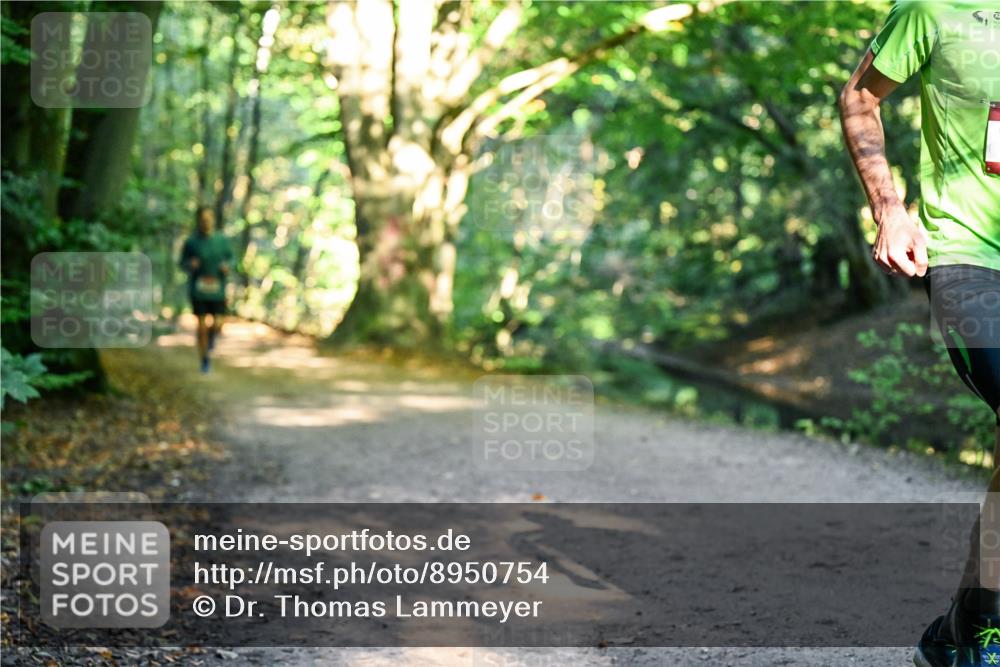 28.09.2025 - 33. Volkslauf durch das schöne Alstertal Dr. Thomas Lammeyer http://msf.ph/oto/8950754 28.09.2025 10:14:38 Laufen  meine-sportfotos.de