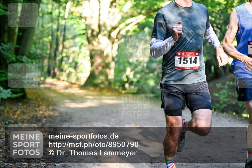 28.09.2025 - 33. Volkslauf durch das schöne Alstertal Dr. Thomas Lammeyer http://msf.ph/oto/8950790 28.09.2025 10:14:56 Laufen 1514 meine-sportfotos.de