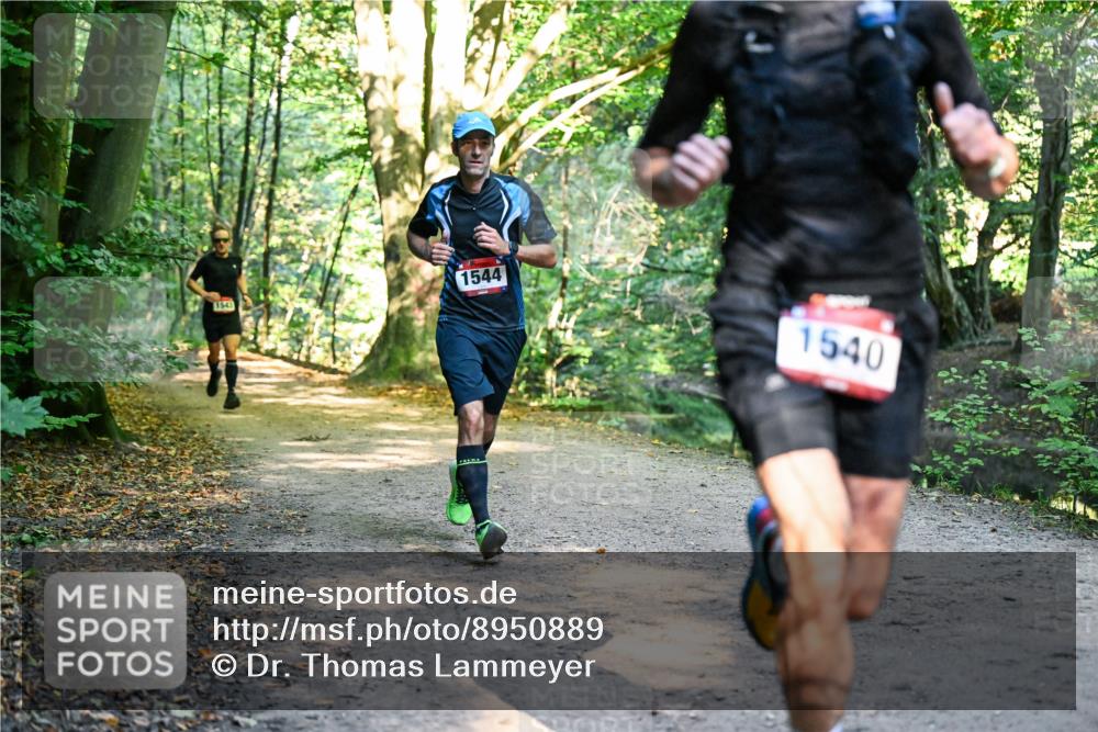28.09.2025 - 33. Volkslauf durch das schöne Alstertal Dr. Thomas Lammeyer http://msf.ph/oto/8950889 28.09.2025 10:15:29 Laufen 1544, 1543, 1540 meine-sportfotos.de