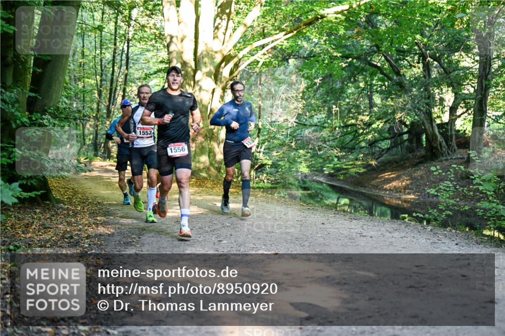 28.09.2025 - 33. Volkslauf durch das schöne Alstertal Dr. Thomas Lammeyer http://msf.ph/oto/8950920 28.09.2025 10:15:42 Laufen 1557, 1556, 153 meine-sportfotos.de
