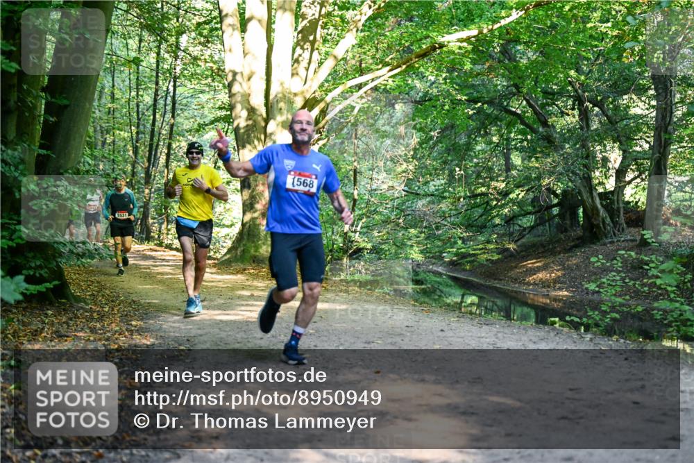 28.09.2025 - 33. Volkslauf durch das schöne Alstertal Dr. Thomas Lammeyer http://msf.ph/oto/8950949 28.09.2025 10:15:51 Laufen 553, 1531, 1568 meine-sportfotos.de