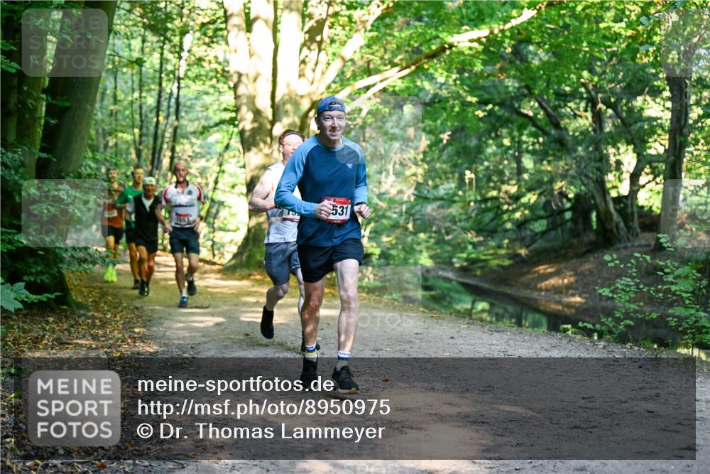 28.09.2025 - 33. Volkslauf durch das schöne Alstertal Dr. Thomas Lammeyer http://msf.ph/oto/8950975 28.09.2025 10:15:55 Laufen 531 meine-sportfotos.de