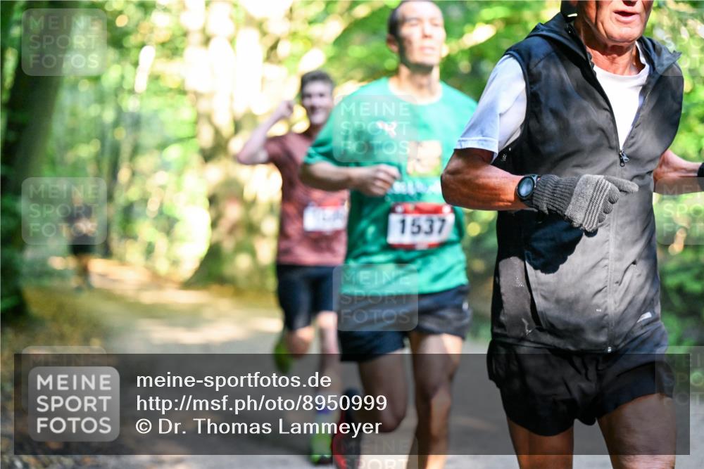 28.09.2025 - 33. Volkslauf durch das schöne Alstertal Dr. Thomas Lammeyer http://msf.ph/oto/8950999 28.09.2025 10:15:59 Laufen 1537 meine-sportfotos.de