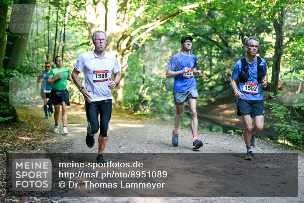 28.09.2025 - 33. Volkslauf durch das schöne Alstertal Dr. Thomas Lammeyer http://msf.ph/oto/8951089 28.09.2025 10:16:28 Laufen 527, 1589, 1552 meine-sportfotos.de