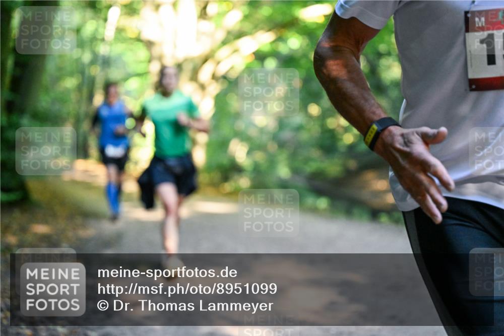 28.09.2025 - 33. Volkslauf durch das schöne Alstertal Dr. Thomas Lammeyer http://msf.ph/oto/8951099 28.09.2025 10:16:30 Laufen 1 meine-sportfotos.de