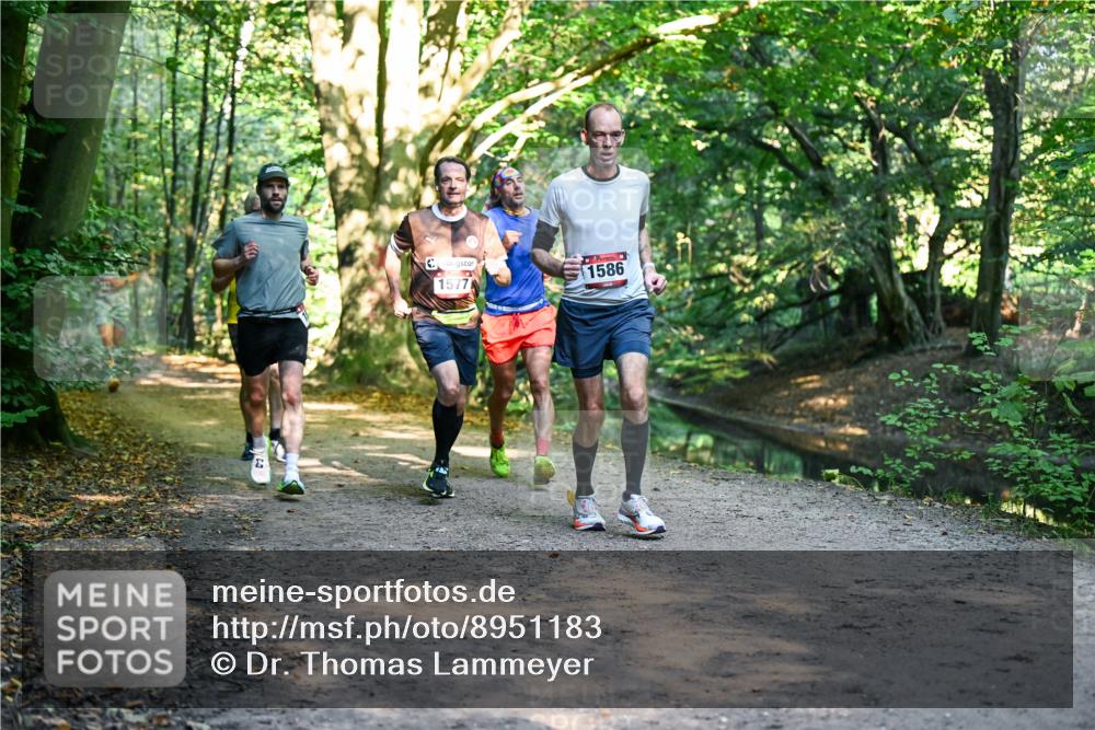 28.09.2025 - 33. Volkslauf durch das schöne Alstertal Dr. Thomas Lammeyer http://msf.ph/oto/8951183 28.09.2025 10:17:00 Laufen 1577, 1586 meine-sportfotos.de