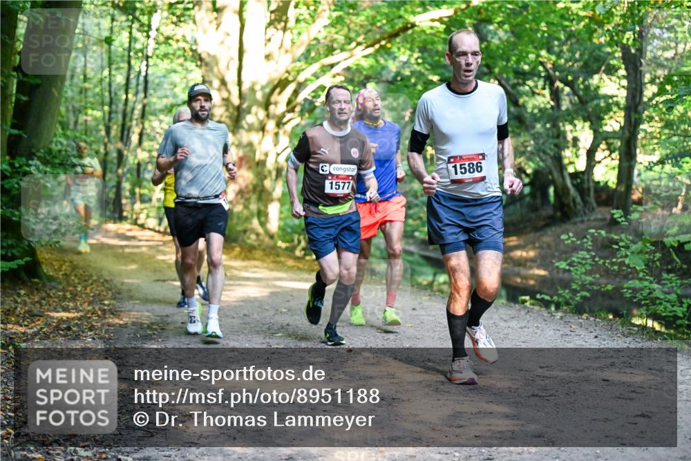 28.09.2025 - 33. Volkslauf durch das schöne Alstertal Dr. Thomas Lammeyer http://msf.ph/oto/8951188 28.09.2025 10:17:01 Laufen 1577, 1586 meine-sportfotos.de