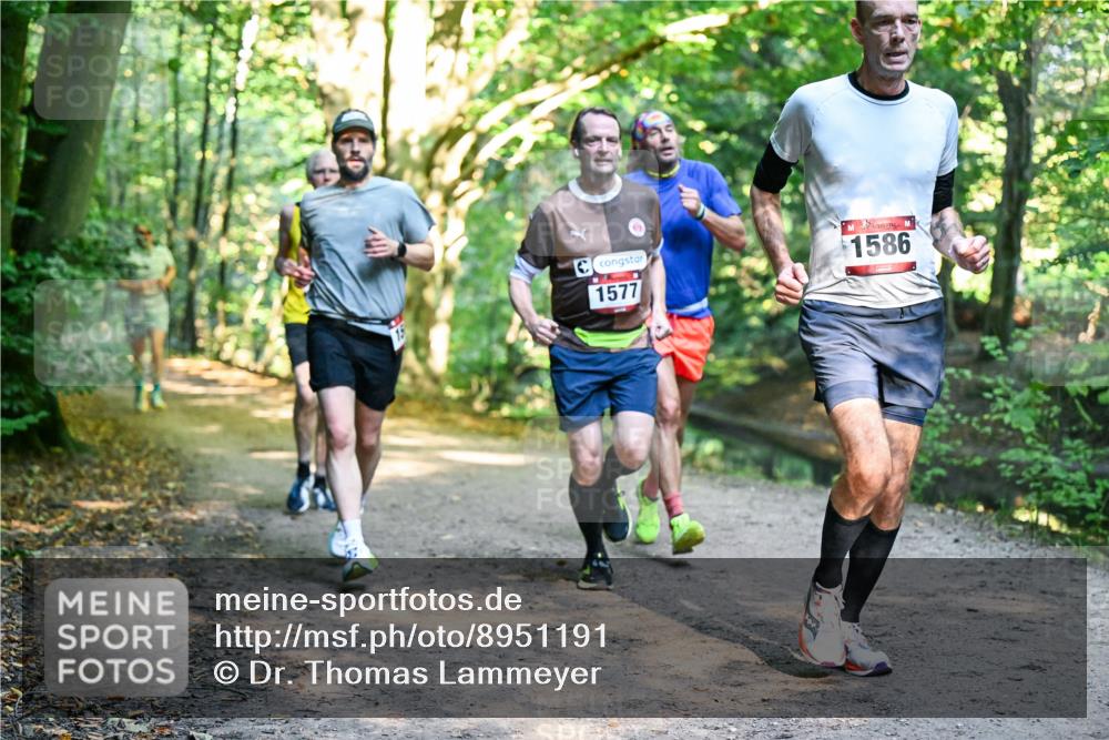 28.09.2025 - 33. Volkslauf durch das schöne Alstertal Dr. Thomas Lammeyer http://msf.ph/oto/8951191 28.09.2025 10:17:01 Laufen 1577, 1586 meine-sportfotos.de