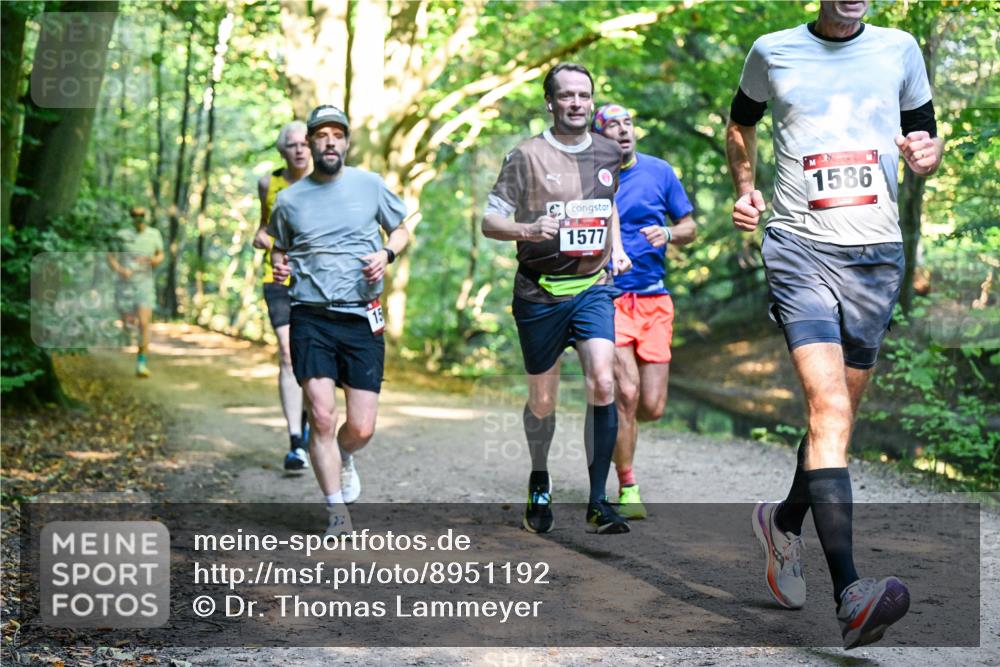 28.09.2025 - 33. Volkslauf durch das schöne Alstertal Dr. Thomas Lammeyer http://msf.ph/oto/8951192 28.09.2025 10:17:01 Laufen 15, 1577, 1586 meine-sportfotos.de