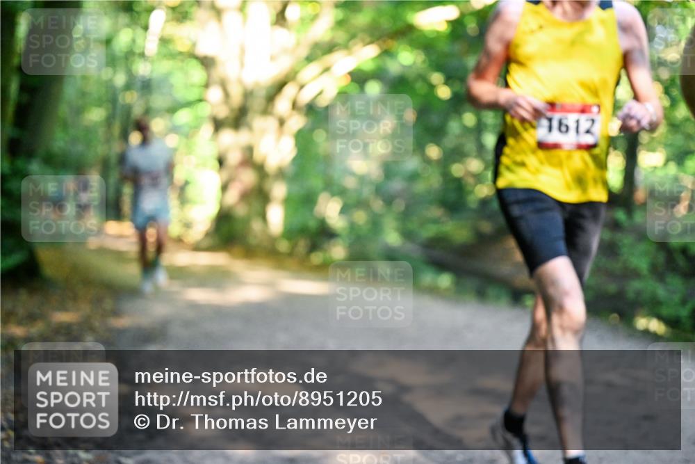 28.09.2025 - 33. Volkslauf durch das schöne Alstertal Dr. Thomas Lammeyer http://msf.ph/oto/8951205 28.09.2025 10:17:03 Laufen 1612 meine-sportfotos.de