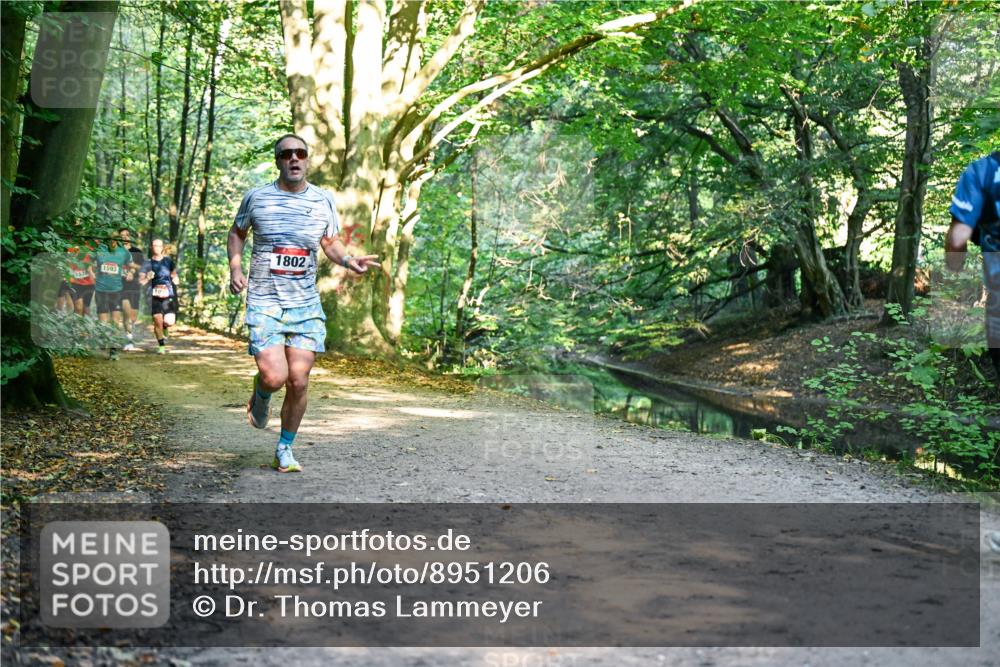 28.09.2025 - 33. Volkslauf durch das schöne Alstertal Dr. Thomas Lammeyer http://msf.ph/oto/8951206 28.09.2025 10:17:05 Laufen 1593, 1802 meine-sportfotos.de
