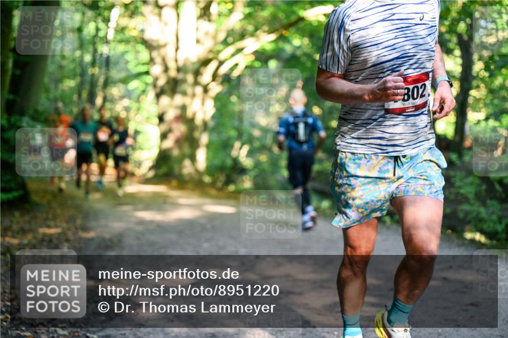 28.09.2025 - 33. Volkslauf durch das schöne Alstertal Dr. Thomas Lammeyer http://msf.ph/oto/8951220 28.09.2025 10:17:07 Laufen 302 meine-sportfotos.de
