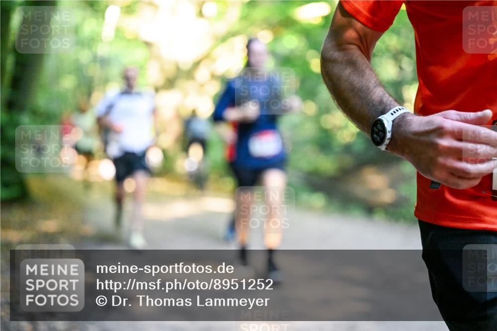 28.09.2025 - 33. Volkslauf durch das schöne Alstertal Dr. Thomas Lammeyer http://msf.ph/oto/8951252 28.09.2025 10:17:12 Laufen  meine-sportfotos.de