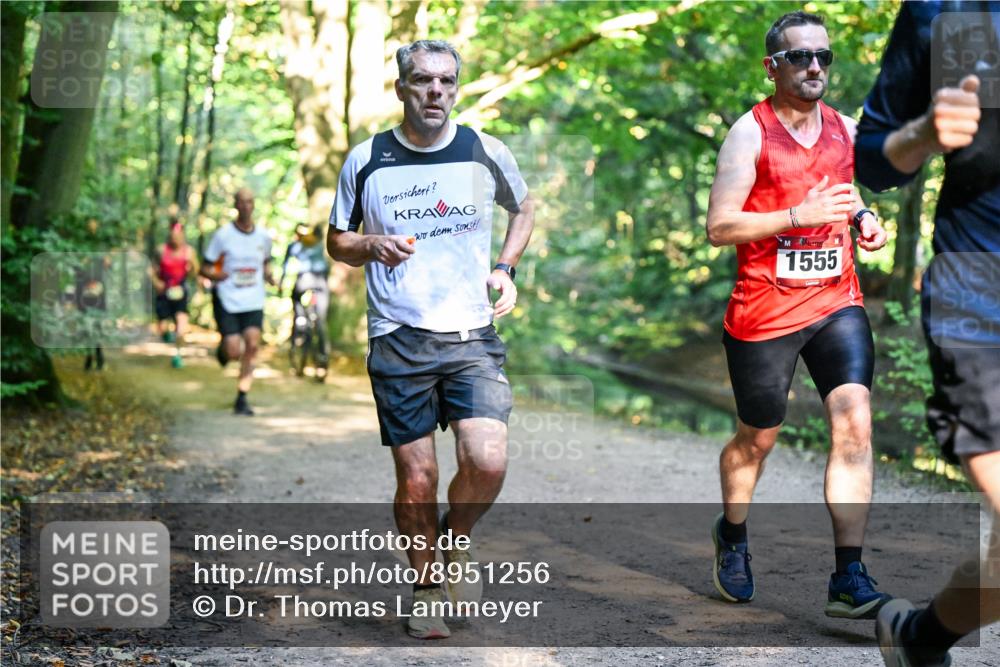 28.09.2025 - 33. Volkslauf durch das schöne Alstertal Dr. Thomas Lammeyer http://msf.ph/oto/8951256 28.09.2025 10:17:13 Laufen 1555 meine-sportfotos.de