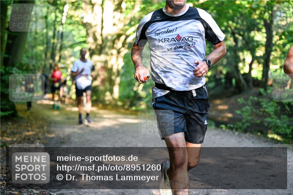 28.09.2025 - 33. Volkslauf durch das schöne Alstertal Dr. Thomas Lammeyer http://msf.ph/oto/8951260 28.09.2025 10:17:14 Laufen  meine-sportfotos.de