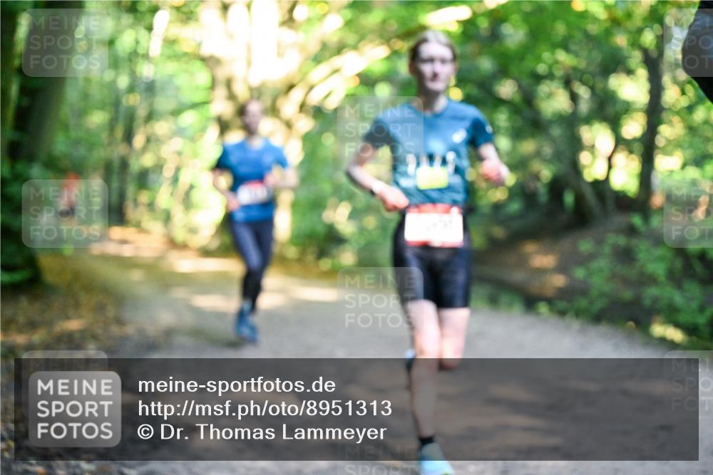 28.09.2025 - 33. Volkslauf durch das schöne Alstertal Dr. Thomas Lammeyer http://msf.ph/oto/8951313 28.09.2025 10:17:24 Laufen  meine-sportfotos.de