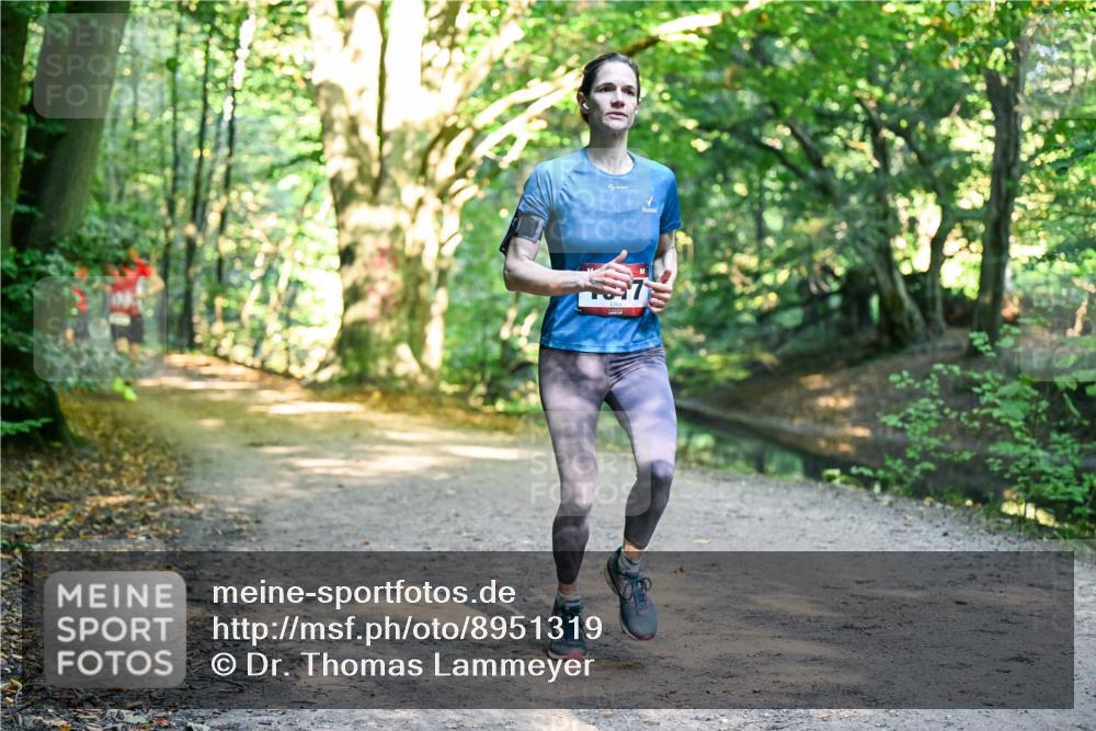 28.09.2025 - 33. Volkslauf durch das schöne Alstertal Dr. Thomas Lammeyer http://msf.ph/oto/8951319 28.09.2025 10:17:25 Laufen  meine-sportfotos.de