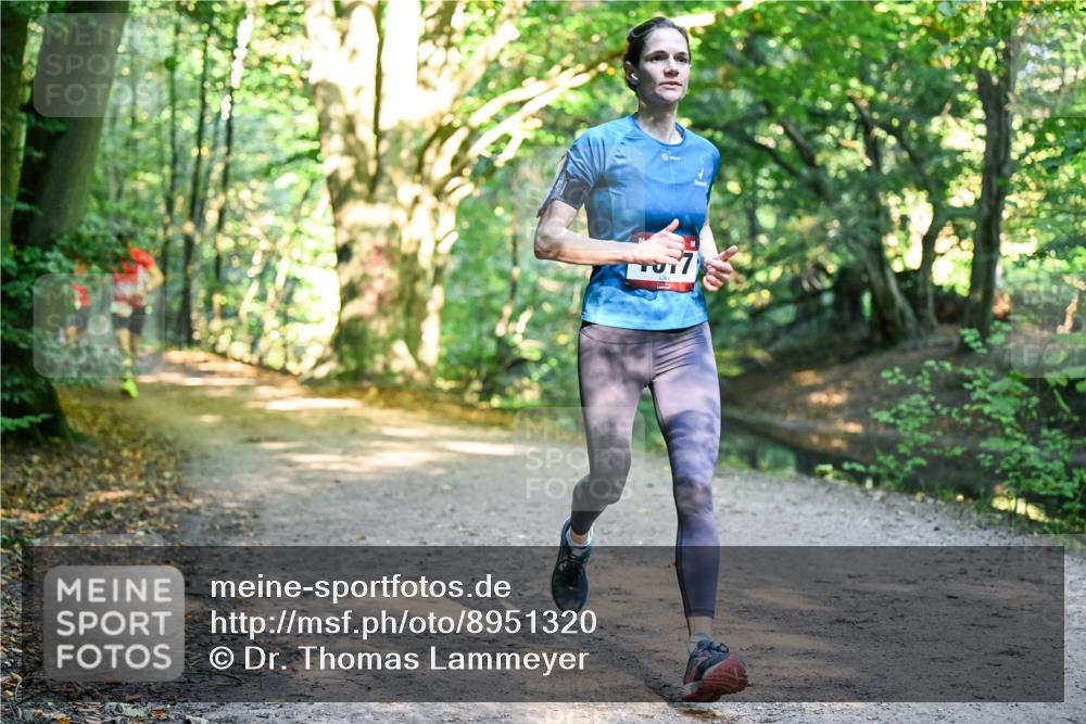 28.09.2025 - 33. Volkslauf durch das schöne Alstertal Dr. Thomas Lammeyer http://msf.ph/oto/8951320 28.09.2025 10:17:25 Laufen  meine-sportfotos.de