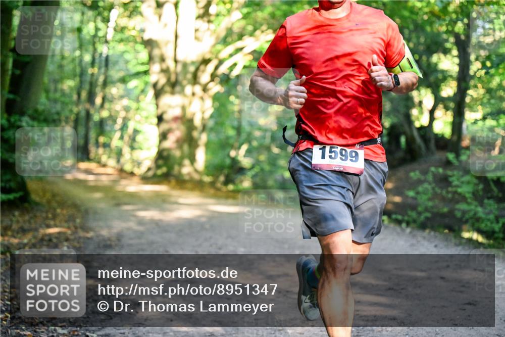 28.09.2025 - 33. Volkslauf durch das schöne Alstertal Dr. Thomas Lammeyer http://msf.ph/oto/8951347 28.09.2025 10:17:33 Laufen 1599, 2 meine-sportfotos.de