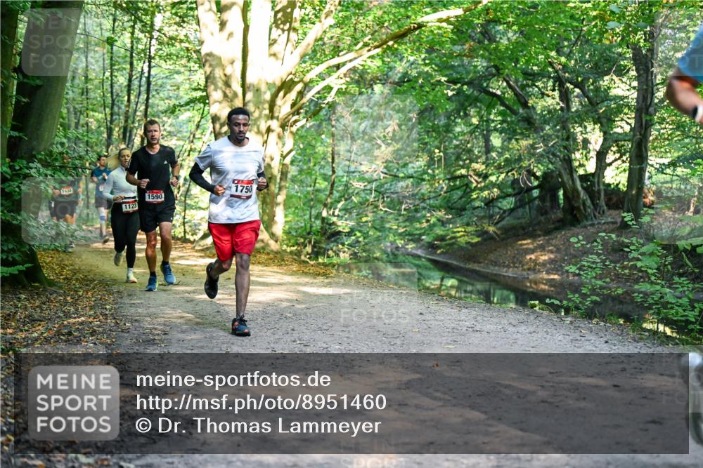 28.09.2025 - 33. Volkslauf durch das schöne Alstertal Dr. Thomas Lammeyer http://msf.ph/oto/8951460 28.09.2025 10:18:04 Laufen 638, 1123, 1590, 1750 meine-sportfotos.de
