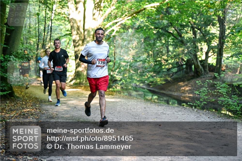 28.09.2025 - 33. Volkslauf durch das schöne Alstertal Dr. Thomas Lammeyer http://msf.ph/oto/8951465 28.09.2025 10:18:04 Laufen 11, 1590, 1750 meine-sportfotos.de