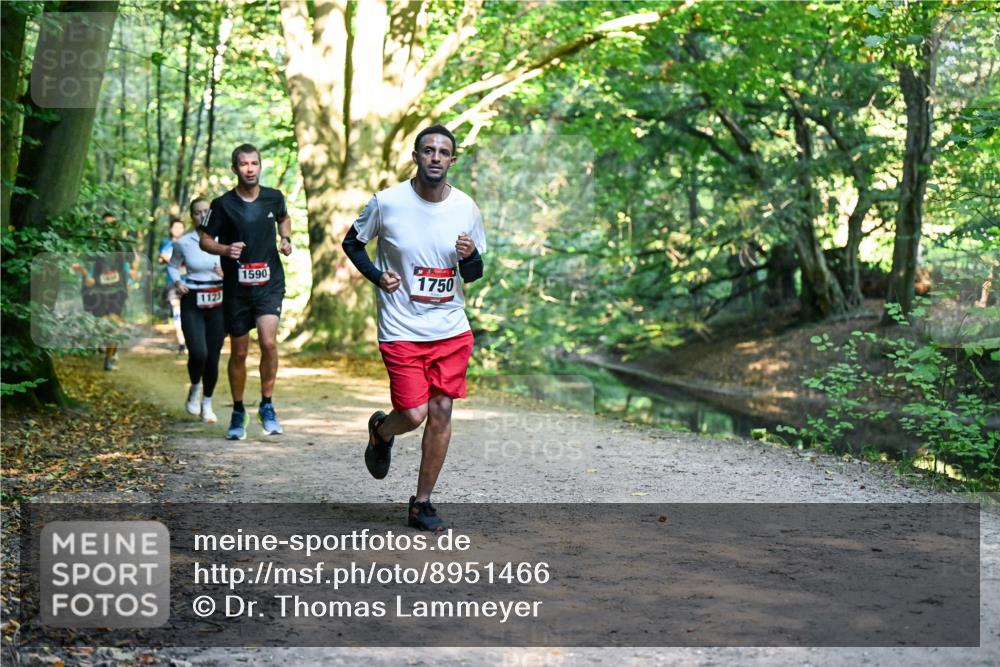 28.09.2025 - 33. Volkslauf durch das schöne Alstertal Dr. Thomas Lammeyer http://msf.ph/oto/8951466 28.09.2025 10:18:05 Laufen 1123, 1590, 1750 meine-sportfotos.de