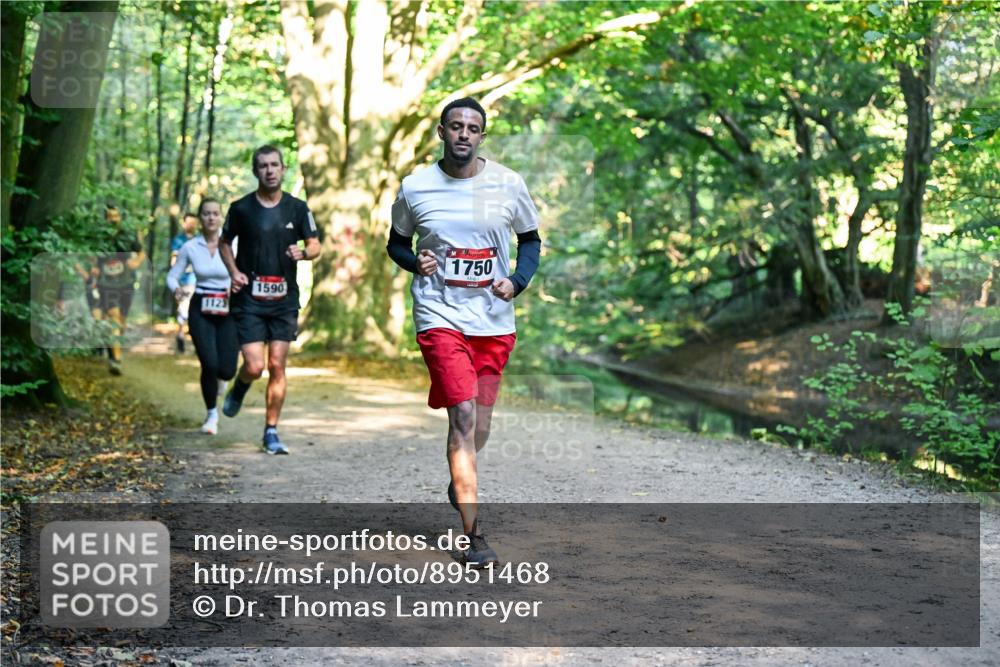 28.09.2025 - 33. Volkslauf durch das schöne Alstertal Dr. Thomas Lammeyer http://msf.ph/oto/8951468 28.09.2025 10:18:05 Laufen 1123, 1590, 1750 meine-sportfotos.de