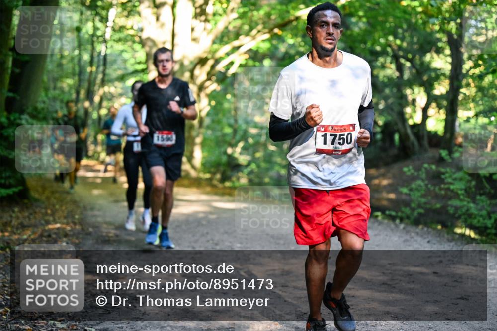 28.09.2025 - 33. Volkslauf durch das schöne Alstertal Dr. Thomas Lammeyer http://msf.ph/oto/8951473 28.09.2025 10:18:06 Laufen 1590, 1750 meine-sportfotos.de
