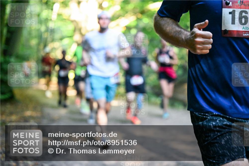 28.09.2025 - 33. Volkslauf durch das schöne Alstertal Dr. Thomas Lammeyer http://msf.ph/oto/8951536 28.09.2025 10:18:17 Laufen 16 meine-sportfotos.de