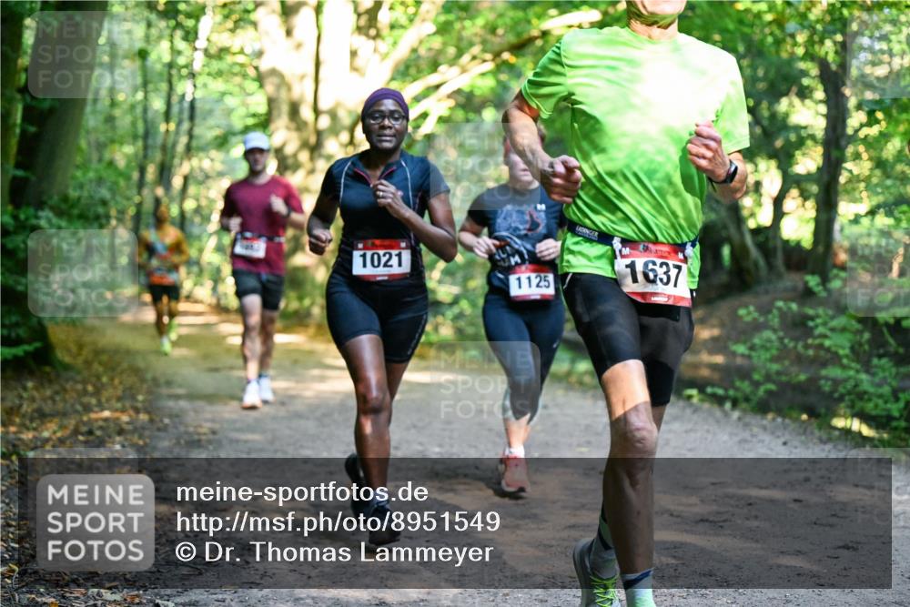 28.09.2025 - 33. Volkslauf durch das schöne Alstertal Dr. Thomas Lammeyer http://msf.ph/oto/8951549 28.09.2025 10:18:20 Laufen 1021, 1125, 1637 meine-sportfotos.de