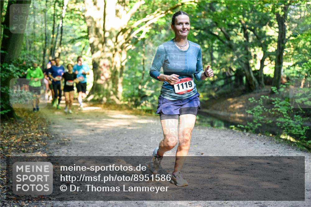 28.09.2025 - 33. Volkslauf durch das schöne Alstertal Dr. Thomas Lammeyer http://msf.ph/oto/8951586 28.09.2025 10:18:39 Laufen 1119 meine-sportfotos.de
