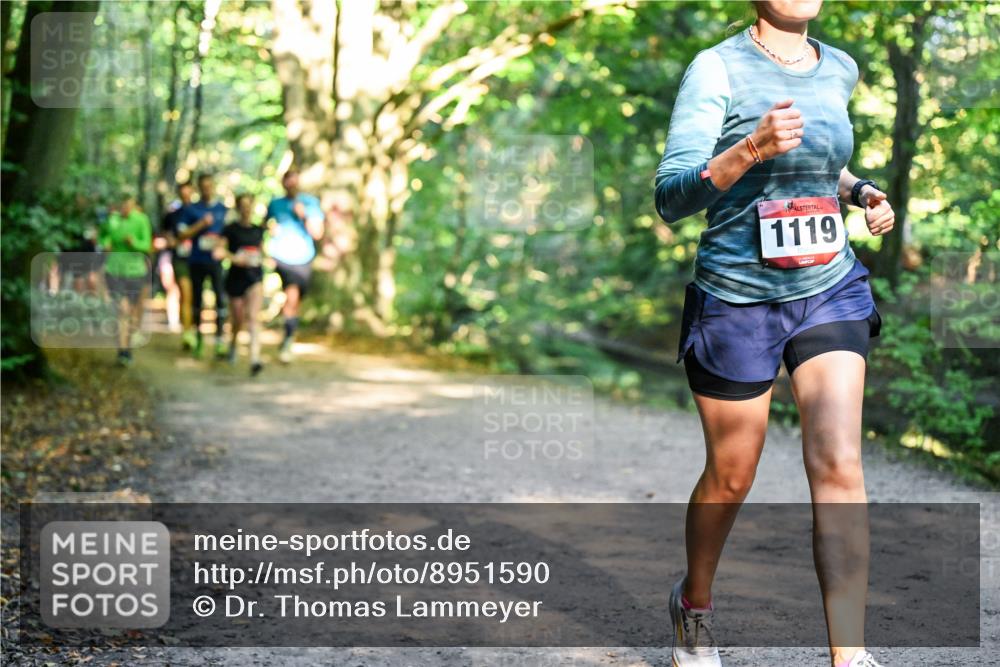 28.09.2025 - 33. Volkslauf durch das schöne Alstertal Dr. Thomas Lammeyer http://msf.ph/oto/8951590 28.09.2025 10:18:39 Laufen 1119 meine-sportfotos.de