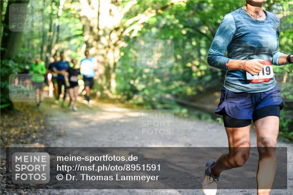 28.09.2025 - 33. Volkslauf durch das schöne Alstertal Dr. Thomas Lammeyer http://msf.ph/oto/8951591 28.09.2025 10:18:39 Laufen 19 meine-sportfotos.de