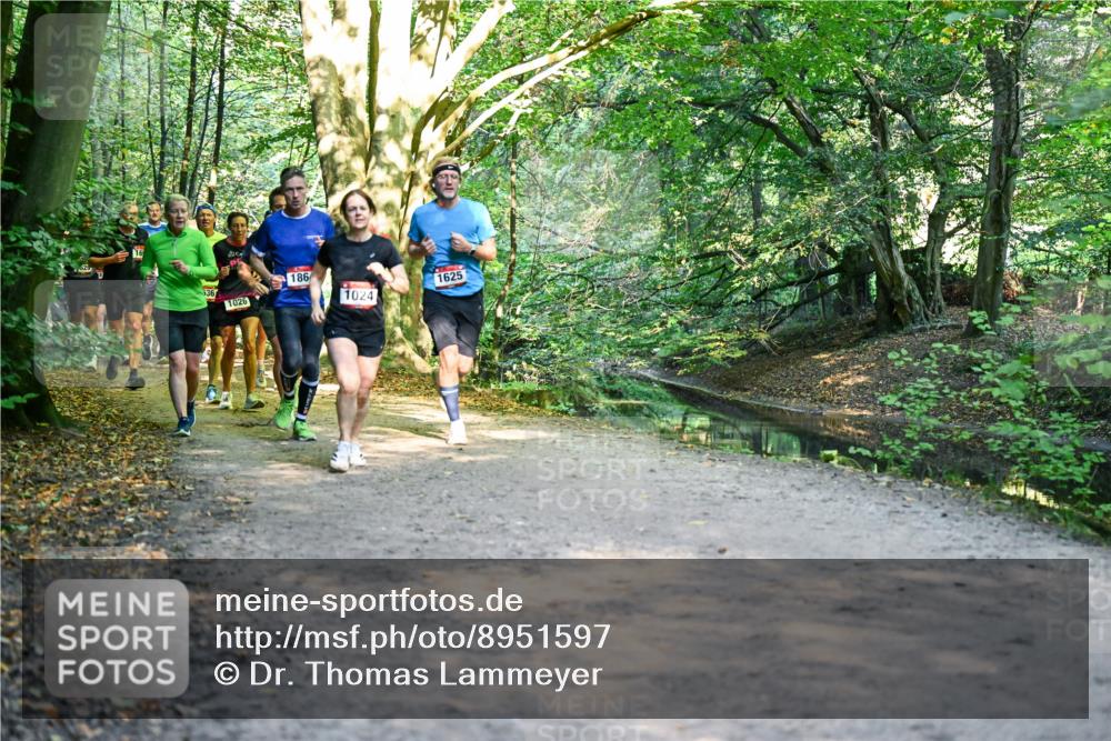 28.09.2025 - 33. Volkslauf durch das schöne Alstertal Dr. Thomas Lammeyer http://msf.ph/oto/8951597 28.09.2025 10:18:41 Laufen 36, 34, 1026, 186, 1625, 1024 meine-sportfotos.de