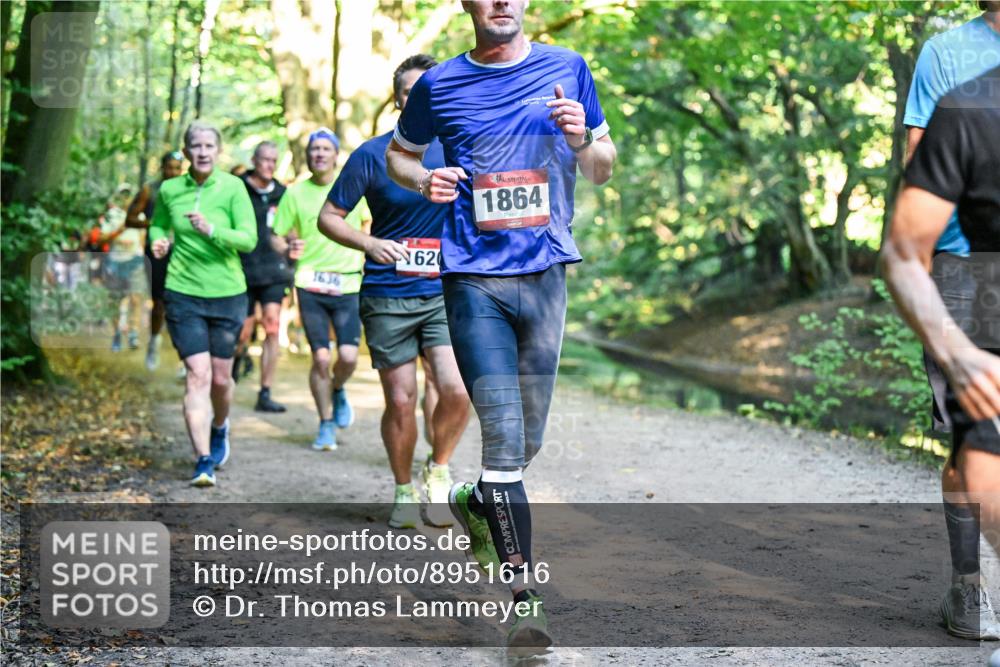 28.09.2025 - 33. Volkslauf durch das schöne Alstertal Dr. Thomas Lammeyer http://msf.ph/oto/8951616 28.09.2025 10:18:44 Laufen 1636, 620, 1864 meine-sportfotos.de