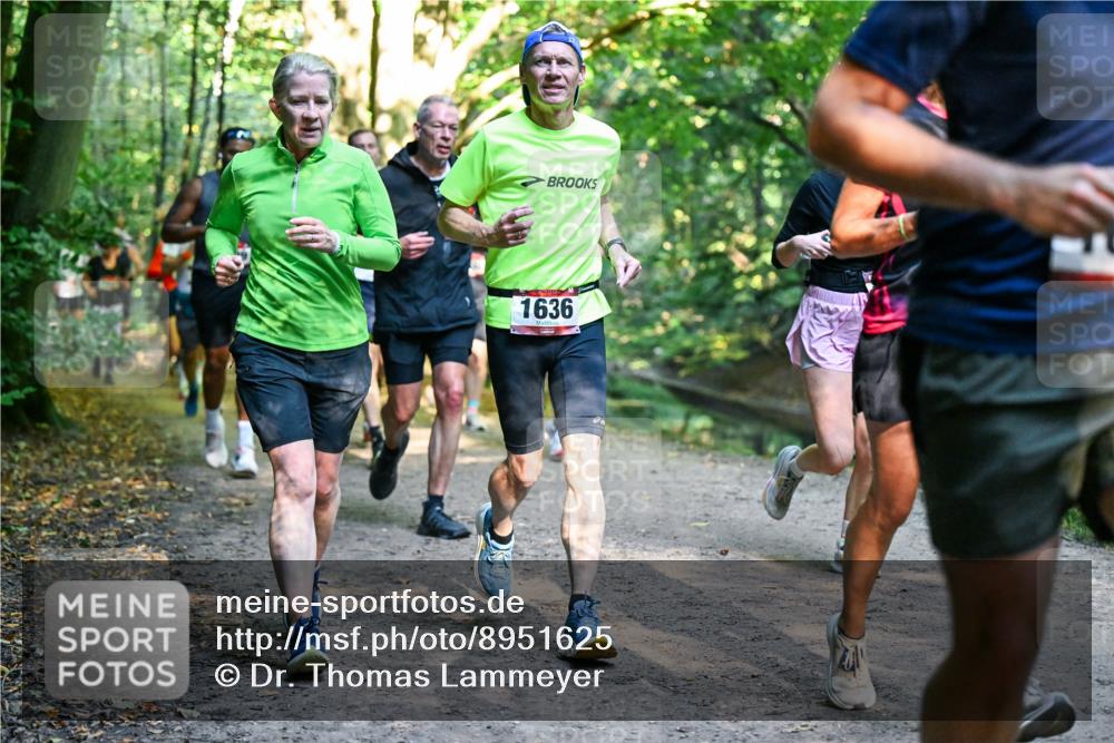 28.09.2025 - 33. Volkslauf durch das schöne Alstertal Dr. Thomas Lammeyer http://msf.ph/oto/8951625 28.09.2025 10:18:45 Laufen 1636 meine-sportfotos.de