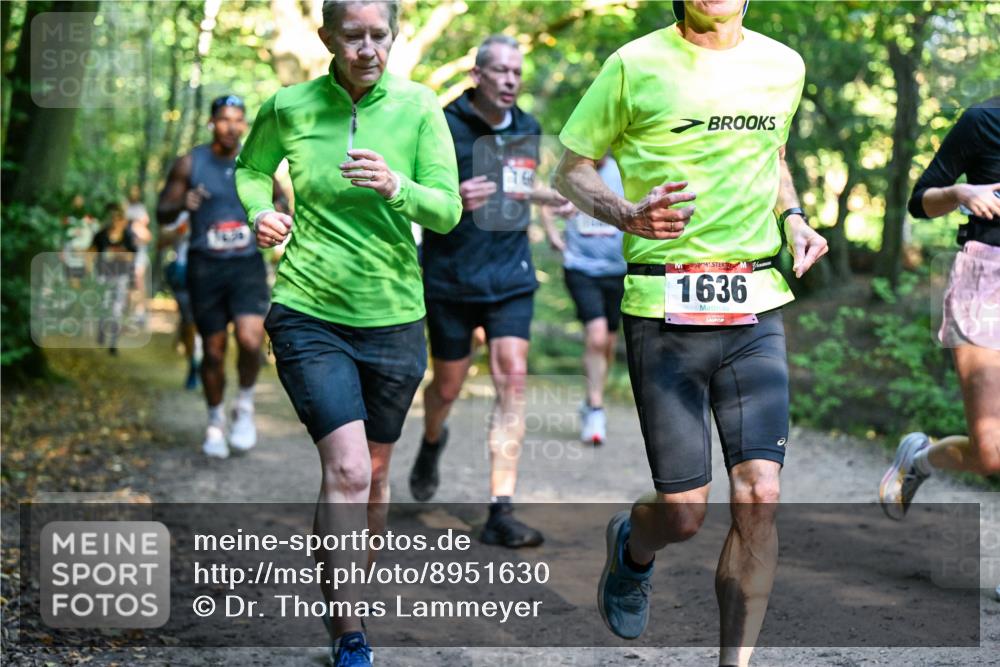 28.09.2025 - 33. Volkslauf durch das schöne Alstertal Dr. Thomas Lammeyer http://msf.ph/oto/8951630 28.09.2025 10:18:46 Laufen 16, 1636 meine-sportfotos.de