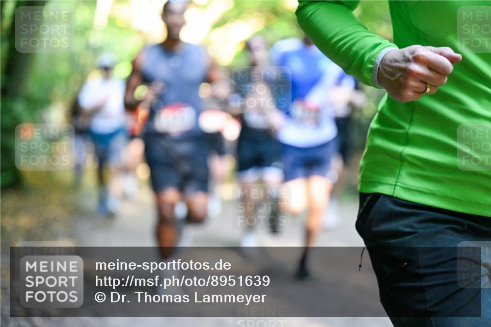 28.09.2025 - 33. Volkslauf durch das schöne Alstertal Dr. Thomas Lammeyer http://msf.ph/oto/8951639 28.09.2025 10:18:47 Laufen  meine-sportfotos.de