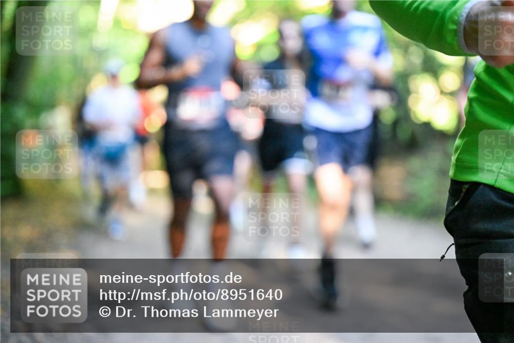 28.09.2025 - 33. Volkslauf durch das schöne Alstertal Dr. Thomas Lammeyer http://msf.ph/oto/8951640 28.09.2025 10:18:48 Laufen  meine-sportfotos.de
