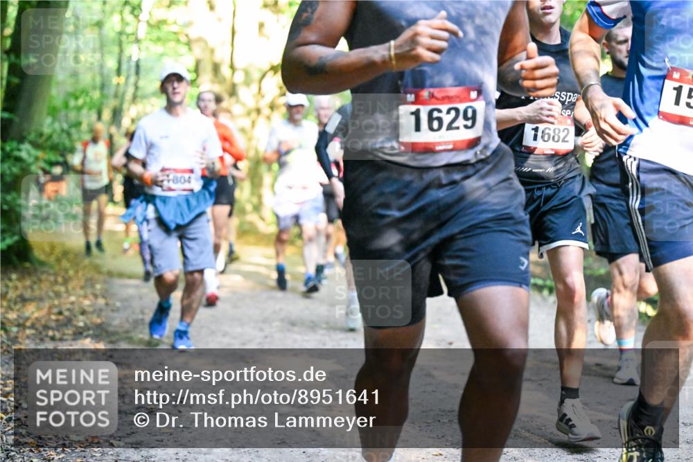 28.09.2025 - 33. Volkslauf durch das schöne Alstertal Dr. Thomas Lammeyer http://msf.ph/oto/8951641 28.09.2025 10:18:48 Laufen 804, 1629, 1682, 15 meine-sportfotos.de