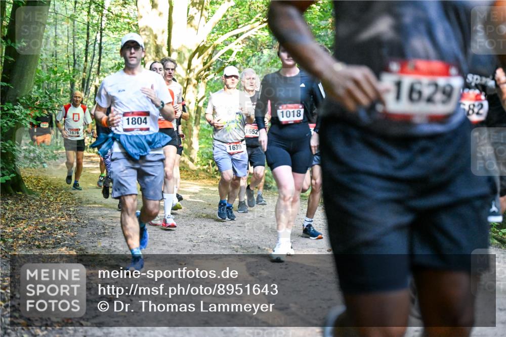 28.09.2025 - 33. Volkslauf durch das schöne Alstertal Dr. Thomas Lammeyer http://msf.ph/oto/8951643 28.09.2025 10:18:49 Laufen 1641, 1676, 1804, 1639, 1652, 1018, 1629, 682 meine-sportfotos.de