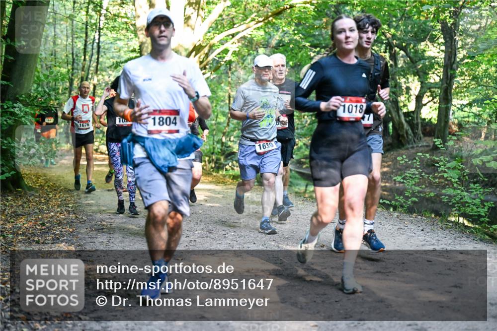 28.09.2025 - 33. Volkslauf durch das schöne Alstertal Dr. Thomas Lammeyer http://msf.ph/oto/8951647 28.09.2025 10:18:49 Laufen 1641, 10, 1676, 1804, 1639, 1018 meine-sportfotos.de