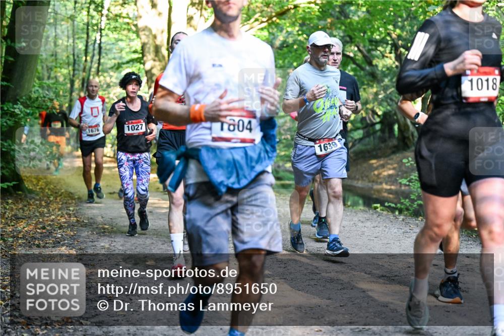 28.09.2025 - 33. Volkslauf durch das schöne Alstertal Dr. Thomas Lammeyer http://msf.ph/oto/8951650 28.09.2025 10:18:50 Laufen 1676, 1027, 1804, 1639, 1018 meine-sportfotos.de