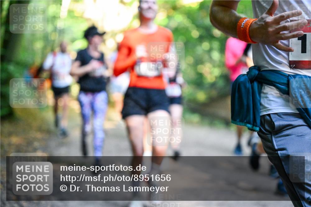 28.09.2025 - 33. Volkslauf durch das schöne Alstertal Dr. Thomas Lammeyer http://msf.ph/oto/8951656 28.09.2025 10:18:51 Laufen  meine-sportfotos.de