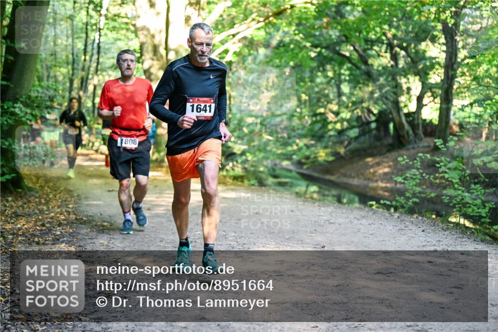 28.09.2025 - 33. Volkslauf durch das schöne Alstertal Dr. Thomas Lammeyer http://msf.ph/oto/8951664 28.09.2025 10:18:55 Laufen 808, 1641 meine-sportfotos.de