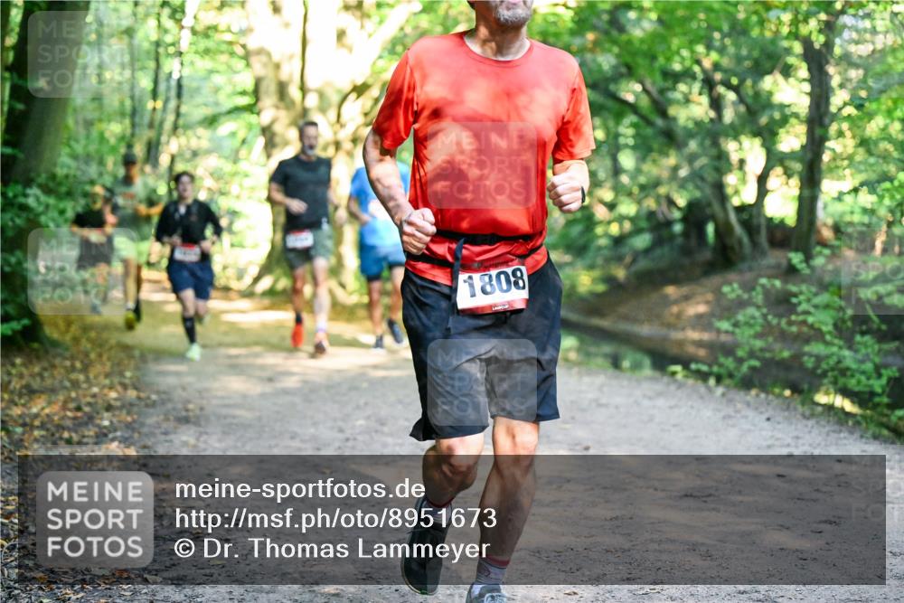28.09.2025 - 33. Volkslauf durch das schöne Alstertal Dr. Thomas Lammeyer http://msf.ph/oto/8951673 28.09.2025 10:18:57 Laufen 1808 meine-sportfotos.de