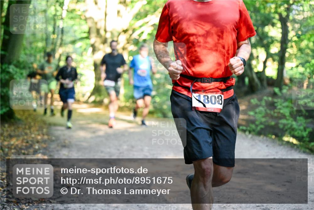 28.09.2025 - 33. Volkslauf durch das schöne Alstertal Dr. Thomas Lammeyer http://msf.ph/oto/8951675 28.09.2025 10:18:57 Laufen 808 meine-sportfotos.de