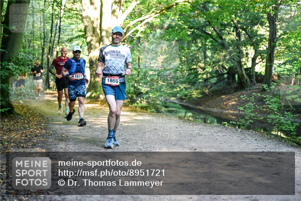 28.09.2025 - 33. Volkslauf durch das schöne Alstertal Dr. Thomas Lammeyer http://msf.ph/oto/8951721 28.09.2025 10:19:05 Laufen 1677, 1656 meine-sportfotos.de